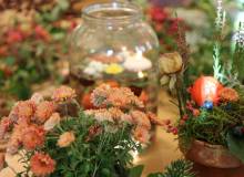 IMG_3355_original